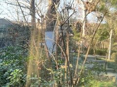 -春晖园度假酒店温泉