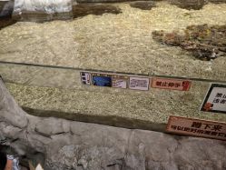 -Zoolung Zoolung动物主题公园(海信广场店)