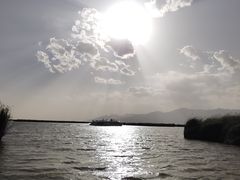 -哈素海