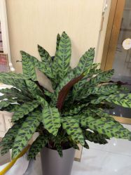 -美肤盾祛痘·问题肌头疗管理中心