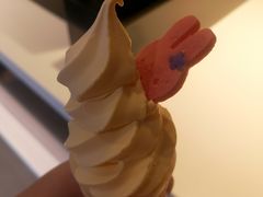 -麦当劳(农光里店)
