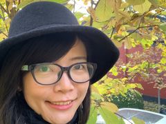 -三里屯东五街银杏大道