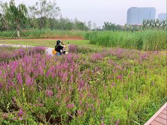 -西海子公园