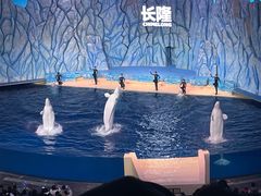 -珠海长隆海洋王国