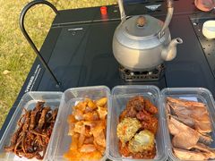 -桤木河湿地公园