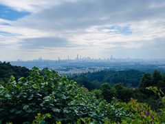 -火炉山森林公园
