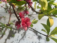 -乌山风景区