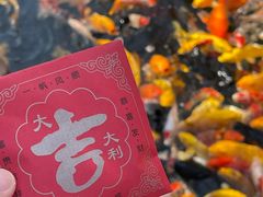 -下海庙