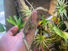 -Rabbit Cafe私房西餐甜点咖啡(栖霞路店)