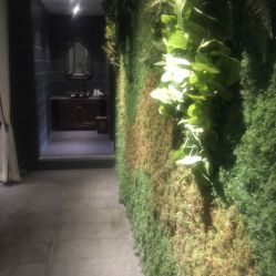 -禾颜社·精致美容