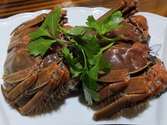 -呼吸森林·生态农庄农家乐私房菜