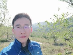 -阳台山自然风景区