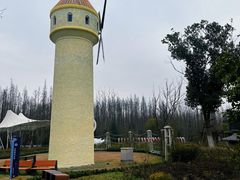 -东平国家森林公园