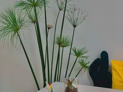 -五进制 Coffee Shop