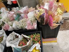 -溪岸路花鸟市场