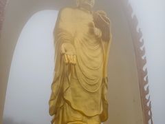 -庐山风景名胜区-东林大佛