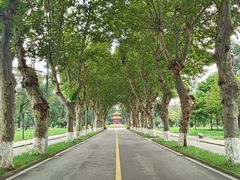 -四川大学(望江校区)