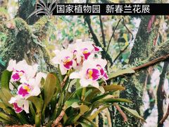 -北京植物园-展览温室