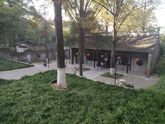 -镇江市南山风景名胜区竹林景区