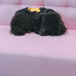 -斐尔国际皮肤管理中心