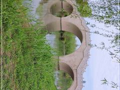 -广富林郊野公园