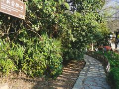 -白马涧龙池景区