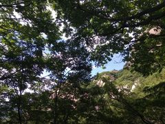 景点-北京密云天门山风景区