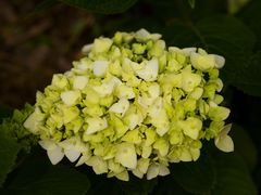 -共青国家森林公园-售票处