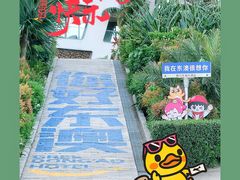 -东澳岛