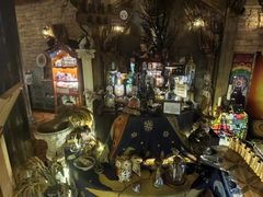 -雪灵魔法世界SHELLY’S TAROT(大良桂畔里店)