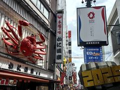 -蟹道乐(道顿堀本店)