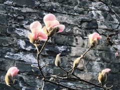 -东华门大街小区