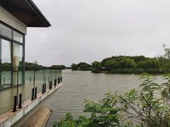 -上海崇明金茂凯悦酒店