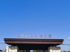 -海上花岛玫瑰园采摘