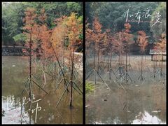 -广州市白云山风景名胜区