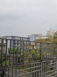 点击看大图 -金芙美月子中心(财富别墅店)