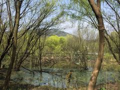 -西湖风景区-江洋畈生态公园