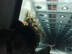 景点-郑州梵高星空错觉艺术馆(大上海城旗舰店)