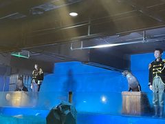 -常州海昌海洋探索馆