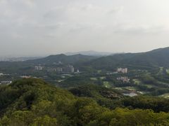 -大屏嶂森林公园