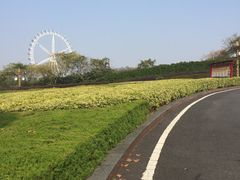 -宜兴龙背山森林公园