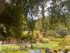 -韶山毛泽东同志故居