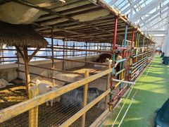 -南宫五洲植物乐园