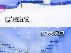 -广州热雪奇迹