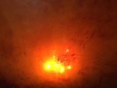 -徐记正宗北京烤鸭(北京东路总店)