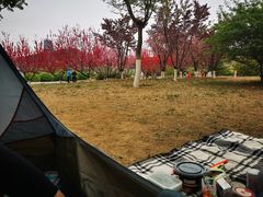 -永定河休闲森林公园