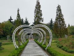 -昆山城市生态森林公园