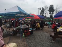 -枫香湖儿童公园