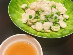 -新光酒家·河豚·海鲜·蟹料理(浦东店)