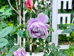 -人民公园(罗湖区)